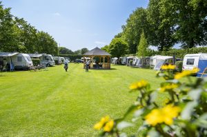 Minicamping De Tramhalte in Esbeek, Noord Brabant